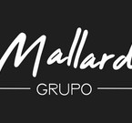 Grupo Mallard - Espaço de Eventos