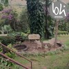 Img 6514 %28c%c3%b3pia%29
