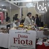Img 9566 %28c%c3%b3pia%29